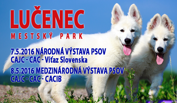 Lucenec 2016